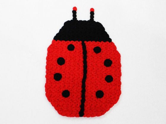 Craft Fiber Ladybug Red